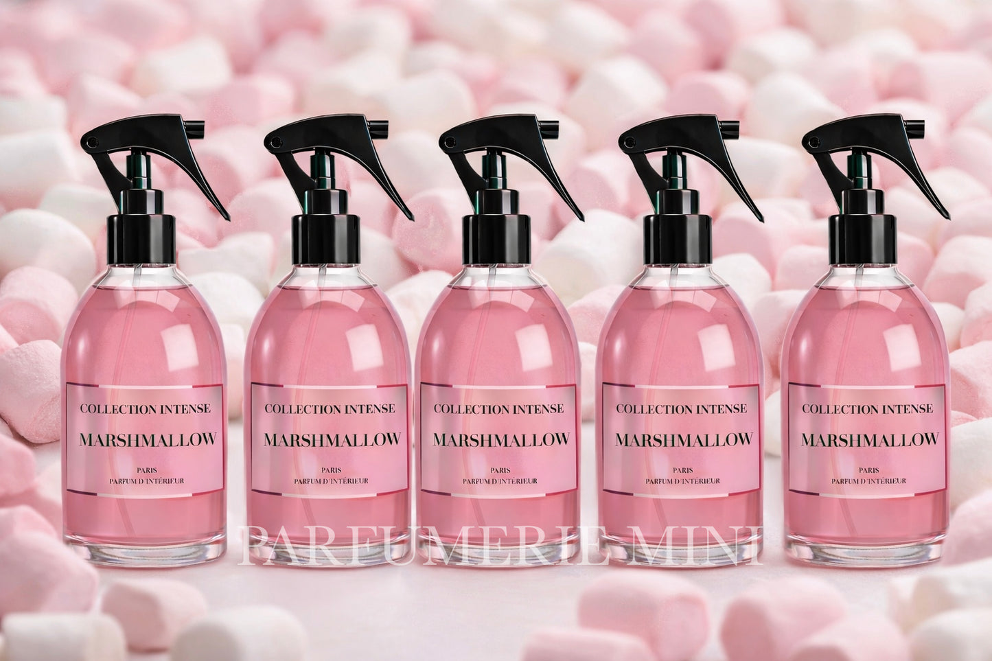 LOT DE 5 SPRAYS 250ML Collection Intense