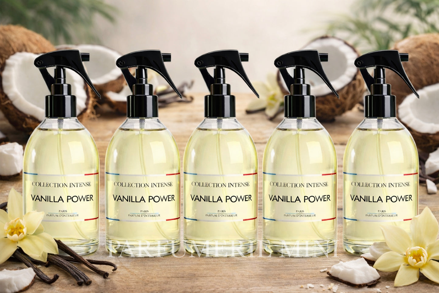 LOT DE 5 SPRAYS 250ML Collection Intense